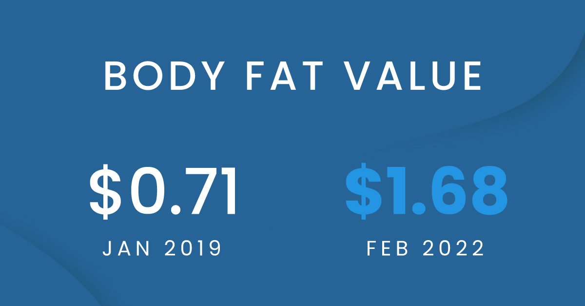 Body fat value comparison for beef from January 2019 at $0.71 to February 2022 at $1.68