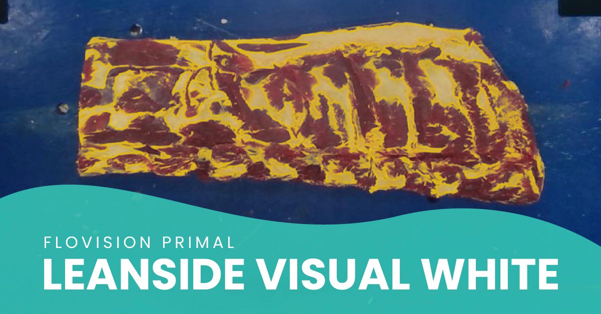 Beef striploin primal with the leanside visual white highlighted in yellow and a blob overlay that says "FloVision Primal Leanside Visual White"