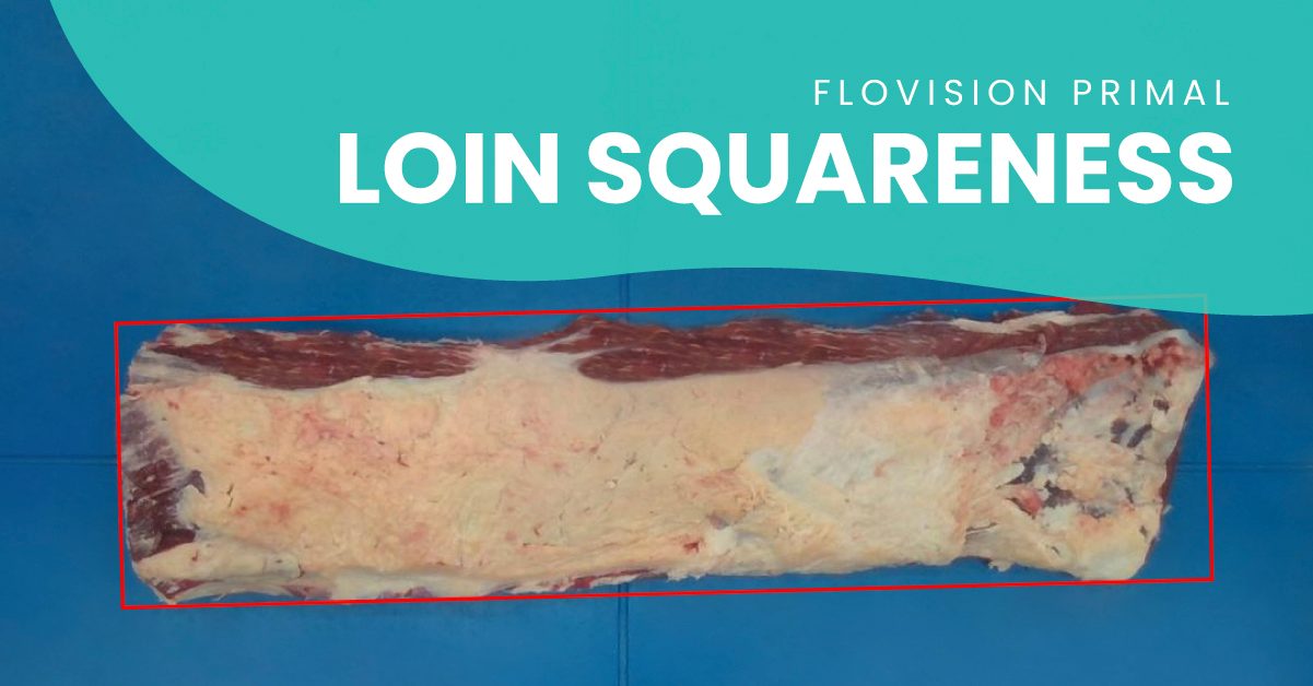 Beef striploin primal with the loin squareness highlighted in red and a blob overlay that says "FloVision Primal Loin Squareness"
