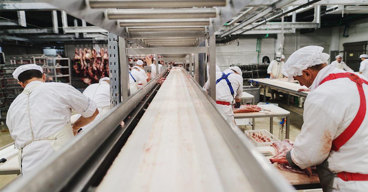 Beef butchers working beside conveyor line