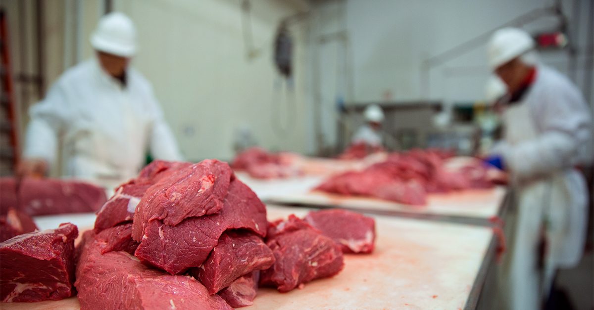 Pile of beef cuts in the foreground with two butchers cutting at trimming stations blurred in the background