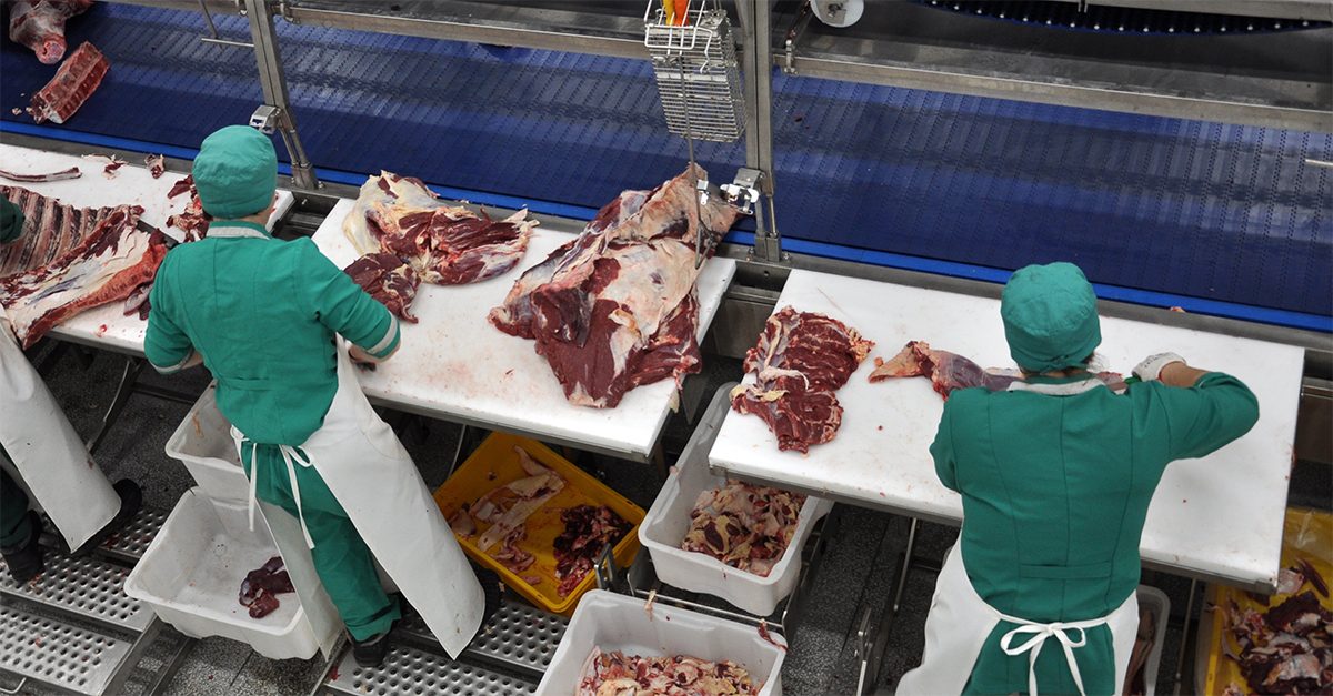 Overhead view of two butchers at a trimming station in a beef production facility, trimming large cuts of beef