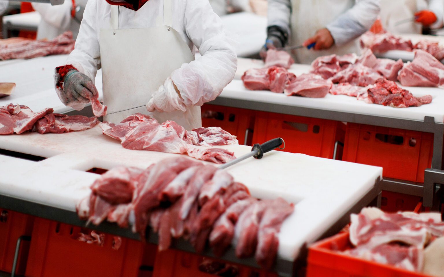 Methods of Beef Production Across the Globe - FloVision Solutions